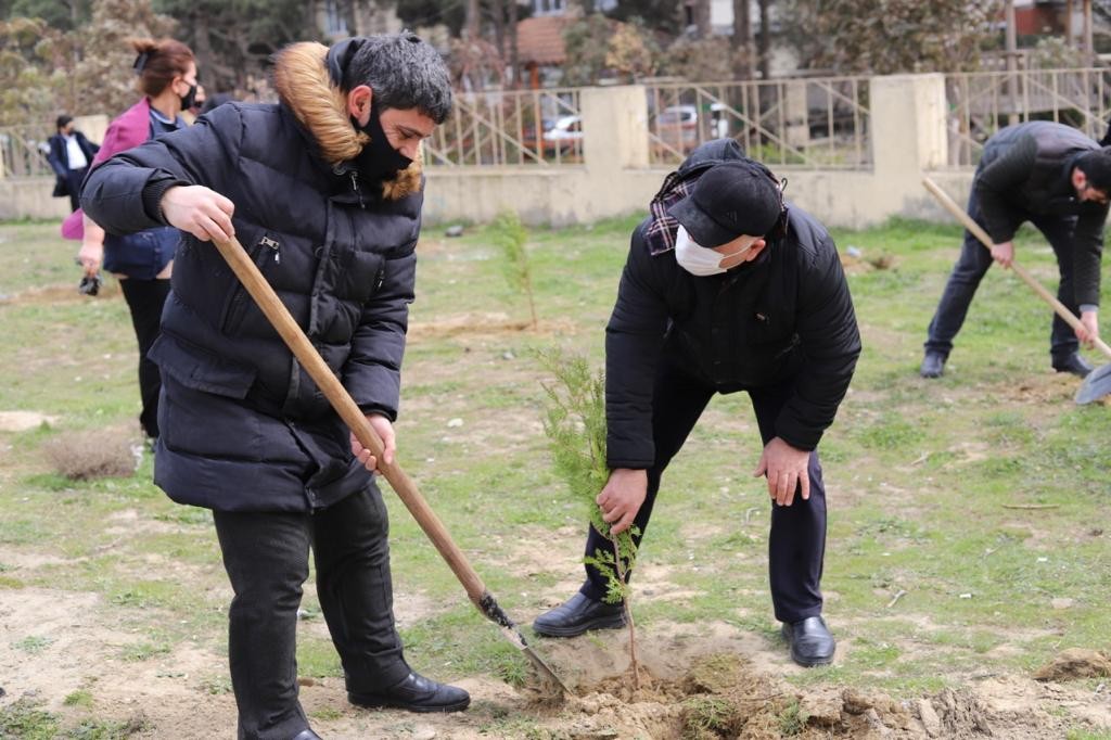 Millət vəkili Könül Nurullayeva “Vətən müharibəsi şəhidlərinin xatirərinə həsr edilmiş ağacəkmə aksiyası” təşkil edib