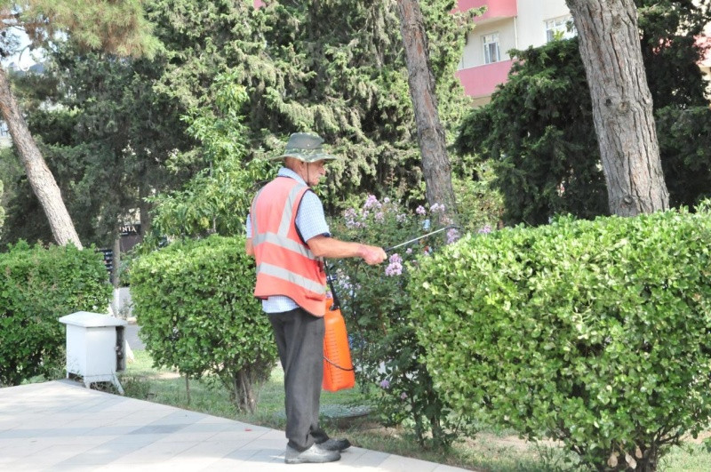 Abşeron rayonunda iməclik keçirilib