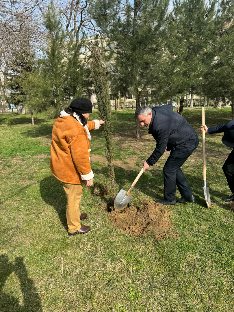 Nəsimi rayonunda 2024-cü ilin "Yaşıl dünya naminə həmrəylik ili" elan edilməsi çərçivəsində COP29-a həsr edilmiş ağacəkmə aksiyası keçirilib