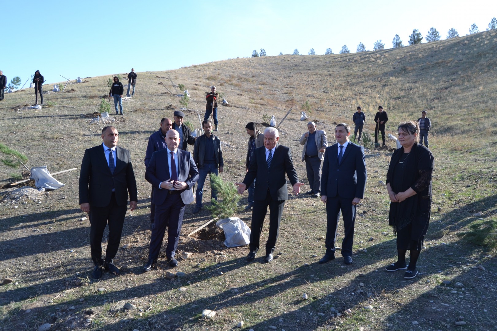 Füzuli rayonunda hər şəhidin adına bir ağac əkilib