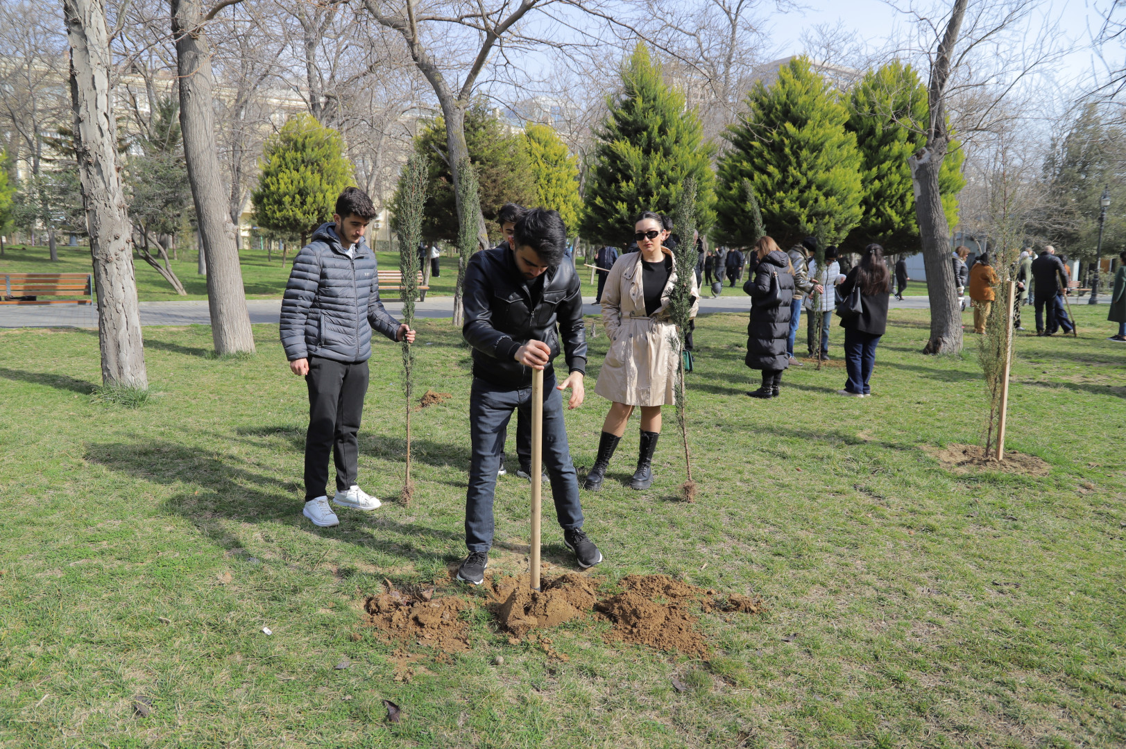 Nəsimi rayonunda 2024-cü ilin "Yaşıl dünya naminə həmrəylik ili" elan edilməsi çərçivəsində COP29-a həsr edilmiş ağacəkmə aksiyası keçirilib