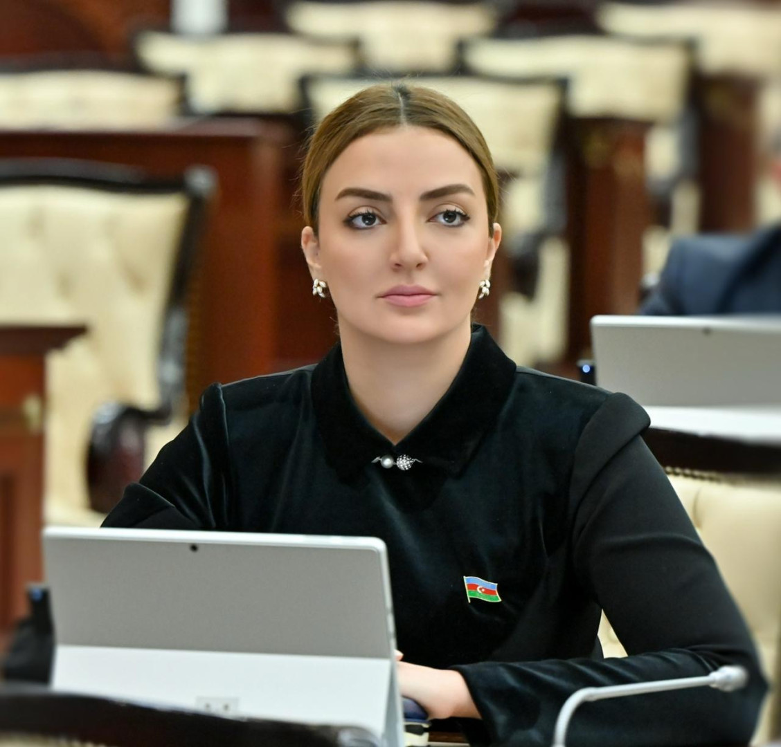 ”Baş verən təxribat cəhdləri anti-Azərbaycan mərkəzlər tərəfindən idarə olunur”