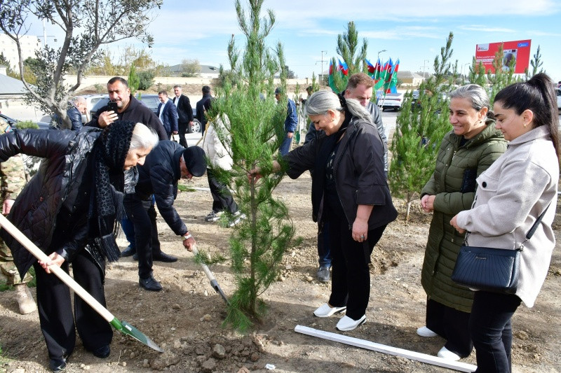 Abşeron rayonunda ağacəkmə aksiyası keçirilib