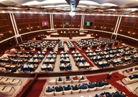 “Deputatların bəziləri özlərini idarə edə bilmirlər” - Partiya sədri