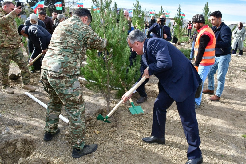 Abşeron rayonunda ağacəkmə aksiyası keçirilib