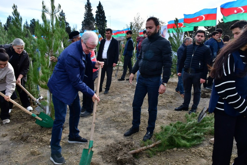 Abşeron rayonunda ağacəkmə aksiyası keçirilib