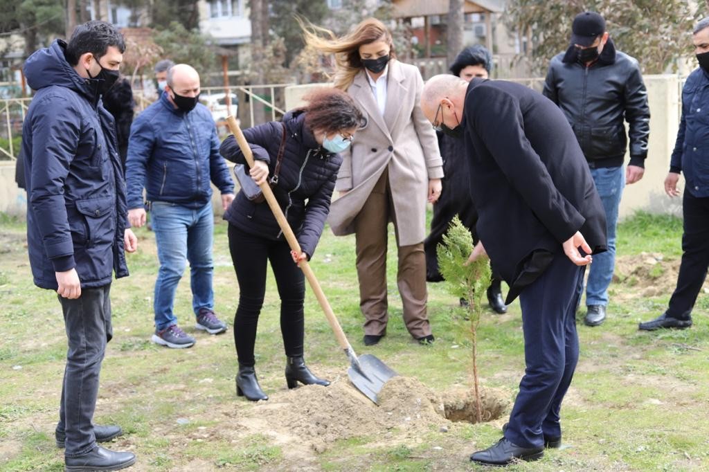 Millət vəkili Könül Nurullayeva “Vətən müharibəsi şəhidlərinin xatirərinə həsr edilmiş ağacəkmə aksiyası” təşkil edib