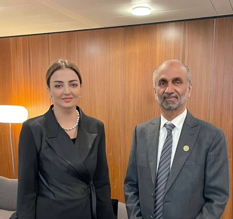 Deputat beynəlxalq konfransda Azərbaycanın sülh təşəbbüslərindən danışıb