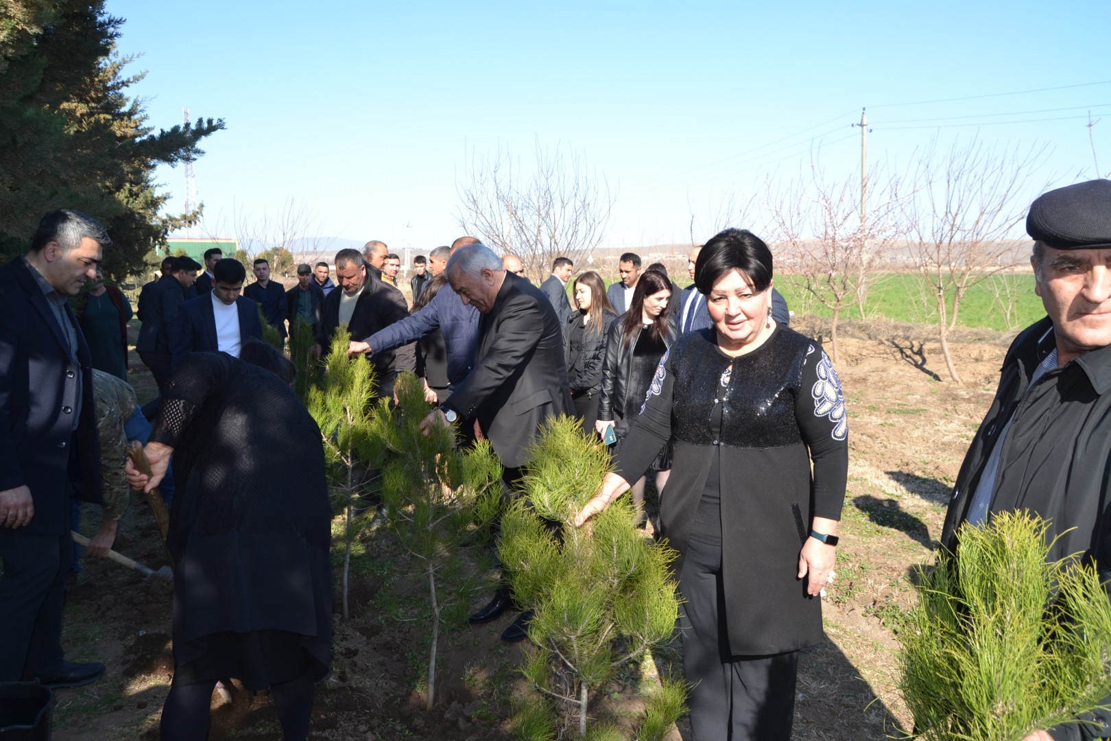 Ulu Öndər Heydər Əliyevin anadan olmasının 100 illiyi münasibətilə Füzulidə ağacəkmə aksiyası...