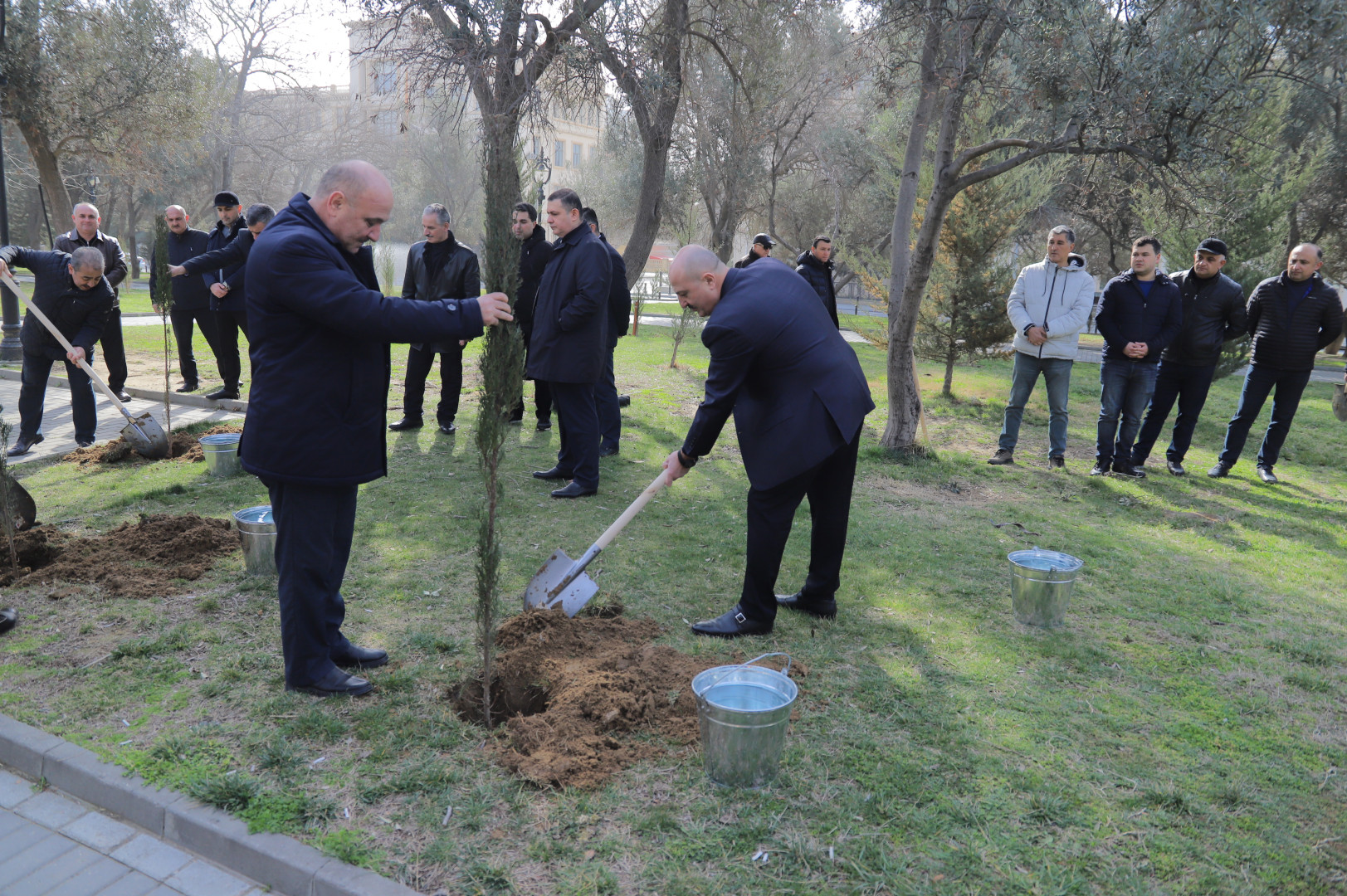 Nəsimi rayonunda 2024-cü ilin "Yaşıl dünya naminə həmrəylik ili" elan edilməsi çərçivəsində COP29-a həsr edilmiş ağacəkmə aksiyası keçirilib