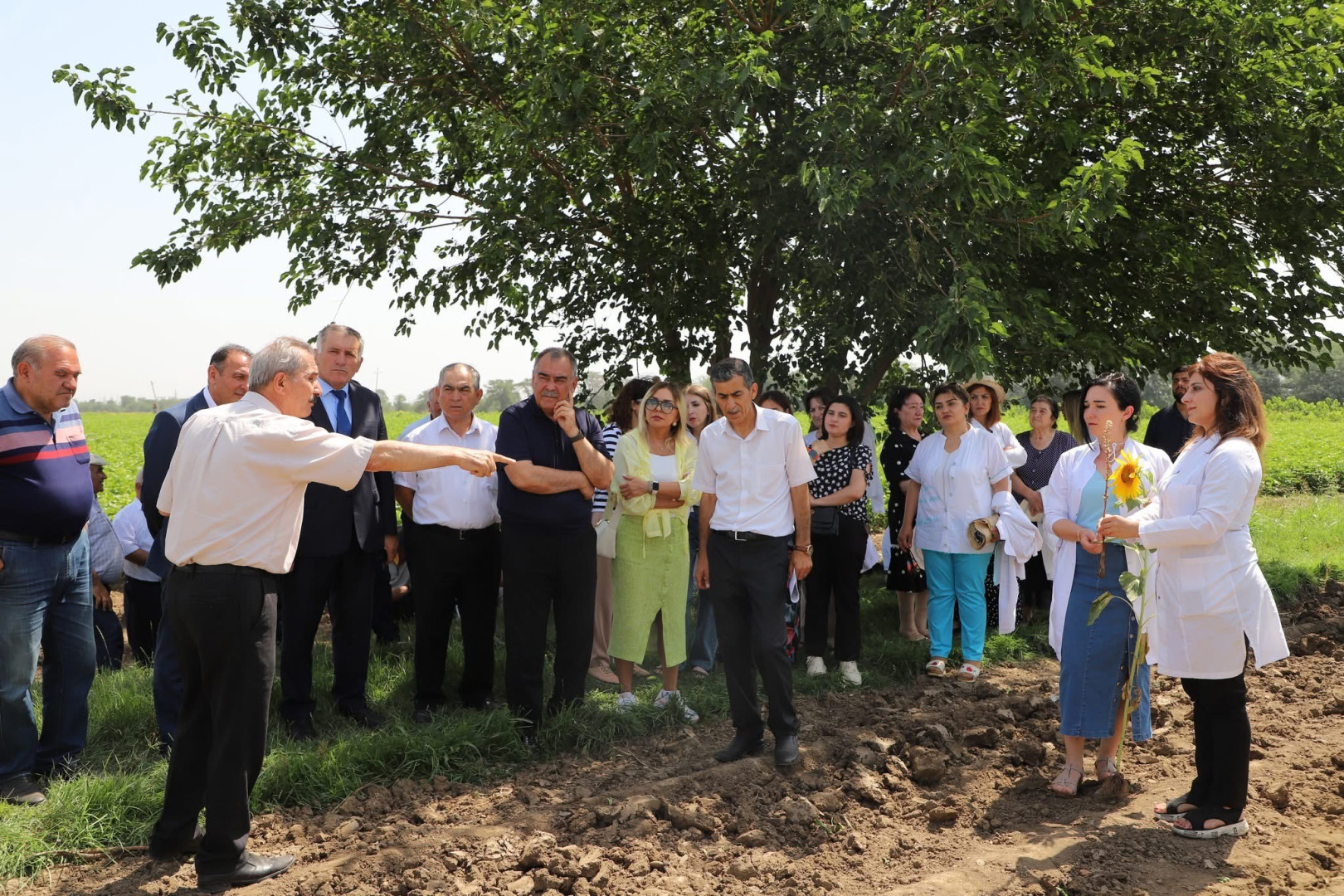 “Günəbaxan bitkisinin becərilməsində yeni texnologiyaların tətbiqi” mövzusunda tarla seminarı keçirilib