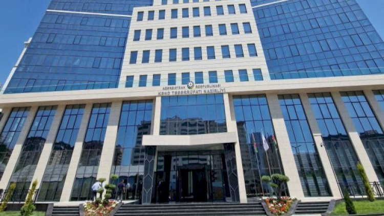 Kənd təsərrüfatında YOXLAMALAR : Rəqəmlər şişirdilib