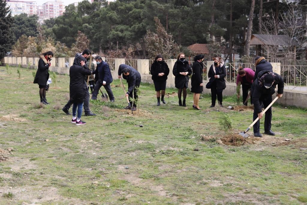 Millət vəkili Könül Nurullayeva “Vətən müharibəsi şəhidlərinin xatirərinə həsr edilmiş ağacəkmə aksiyası” təşkil edib