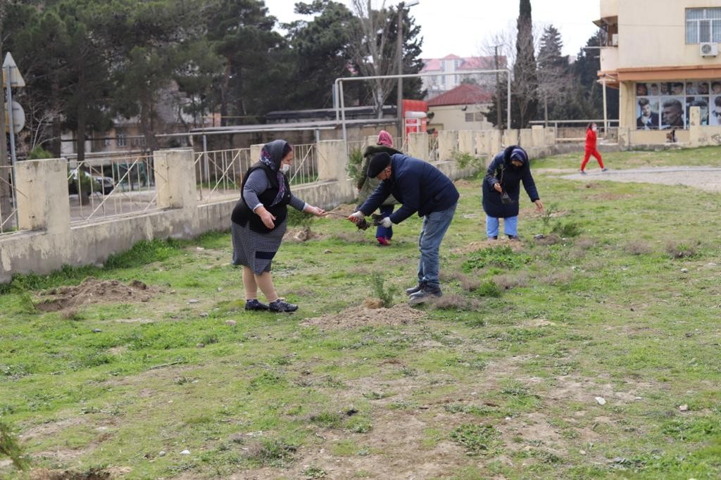 Millət vəkili Könül Nurullayeva “Vətən müharibəsi şəhidlərinin xatirərinə həsr edilmiş ağacəkmə aksiyası” təşkil edib