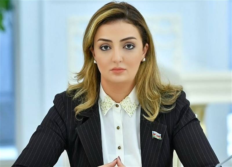"İrəvan Bakı və Tbilisidən nümunə götürməlidir"