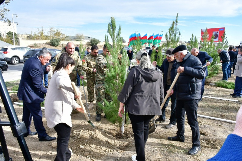 Abşeron rayonunda ağacəkmə aksiyası keçirilib